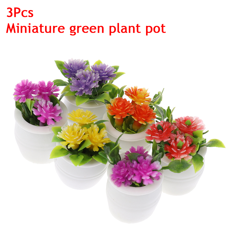 Plant Pot - 다채로운 꽃 식물과 조경 장식을 위한