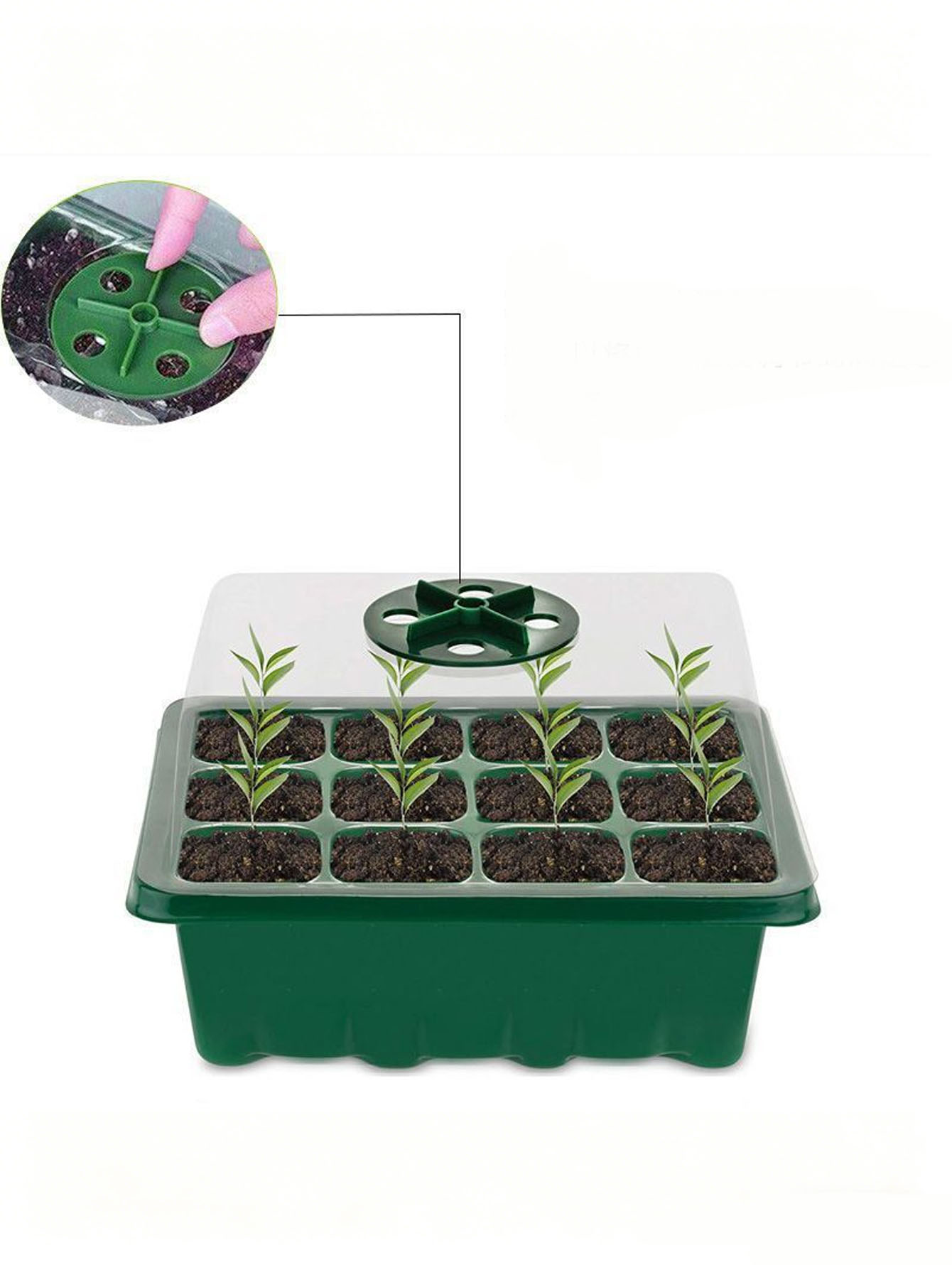 Seed Starter Tray - 1/2개 6/12홀 묘목 트레이, 배수구가 있는
