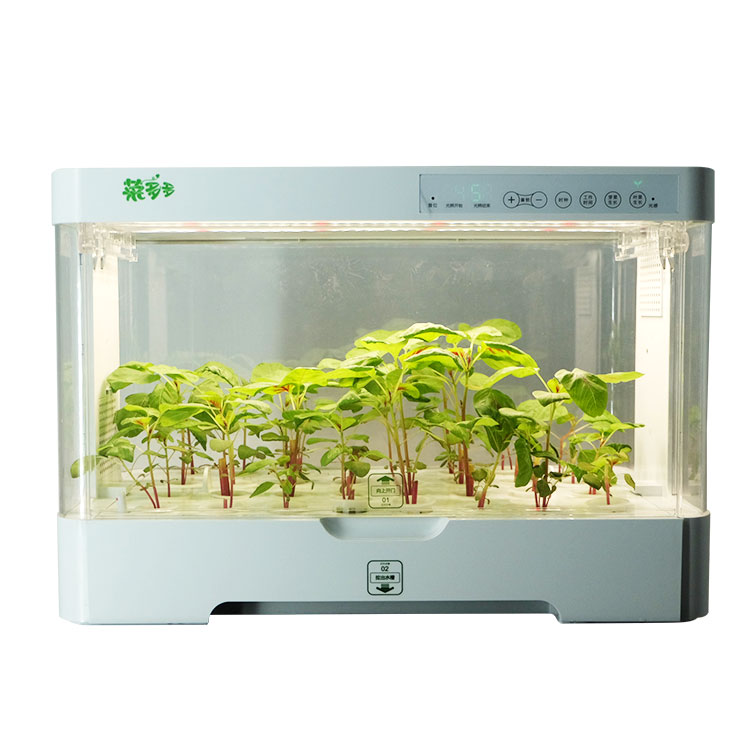 소형 실내용 스마트 플라스틱 화분 보관함, 수경 재배  - Hydroponic Kit 리뷰 및 가격