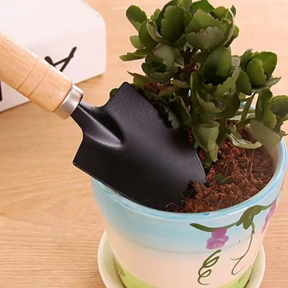 정원용 미니 도구 세트 3개입: 화분, 선인장, 채소, - Indoor Herb Garden 리뷰 및 가격