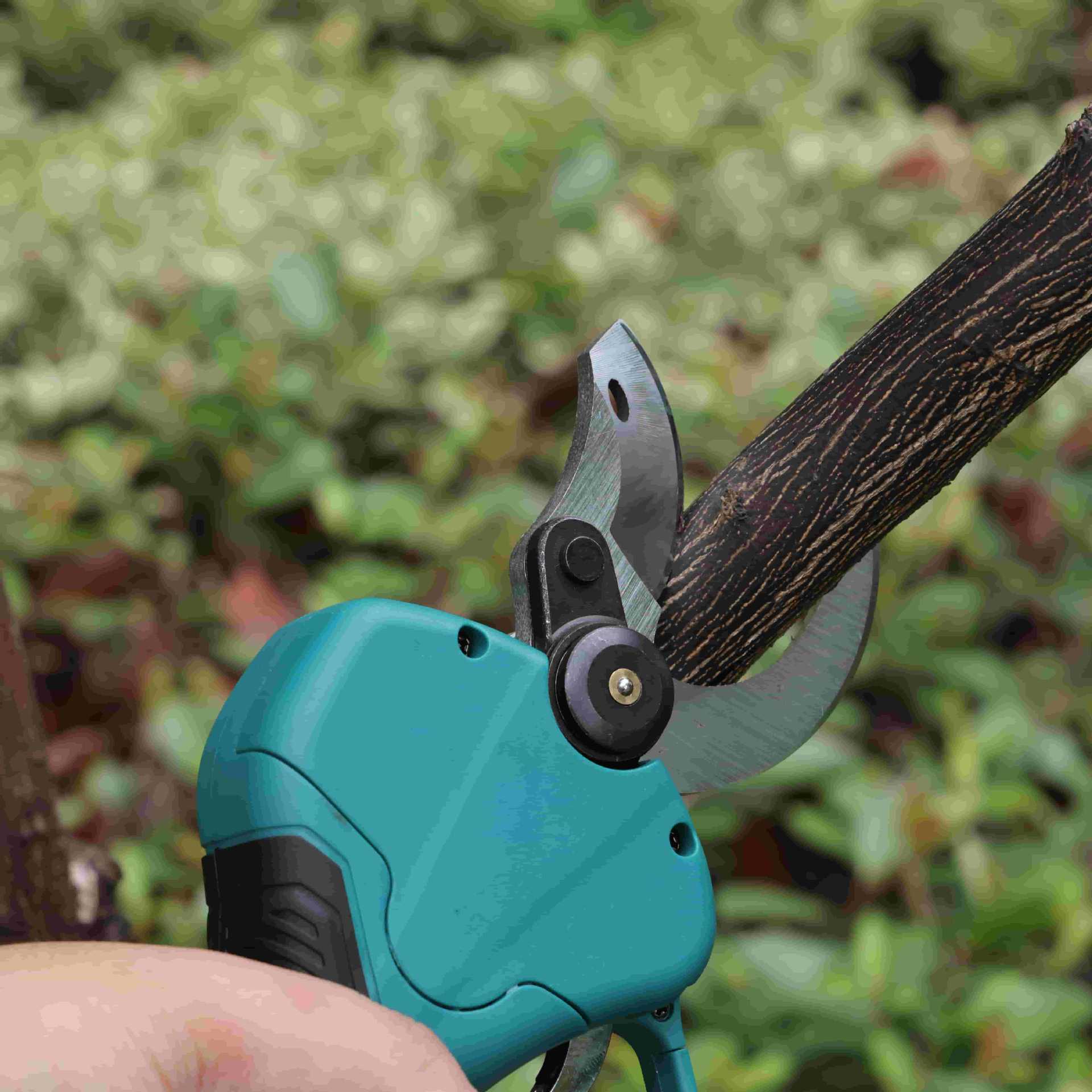 고층 정원 전정가위 리튬 배터리 전동 정원용 가위 과일 - Pruning Shears 리뷰 및 가격