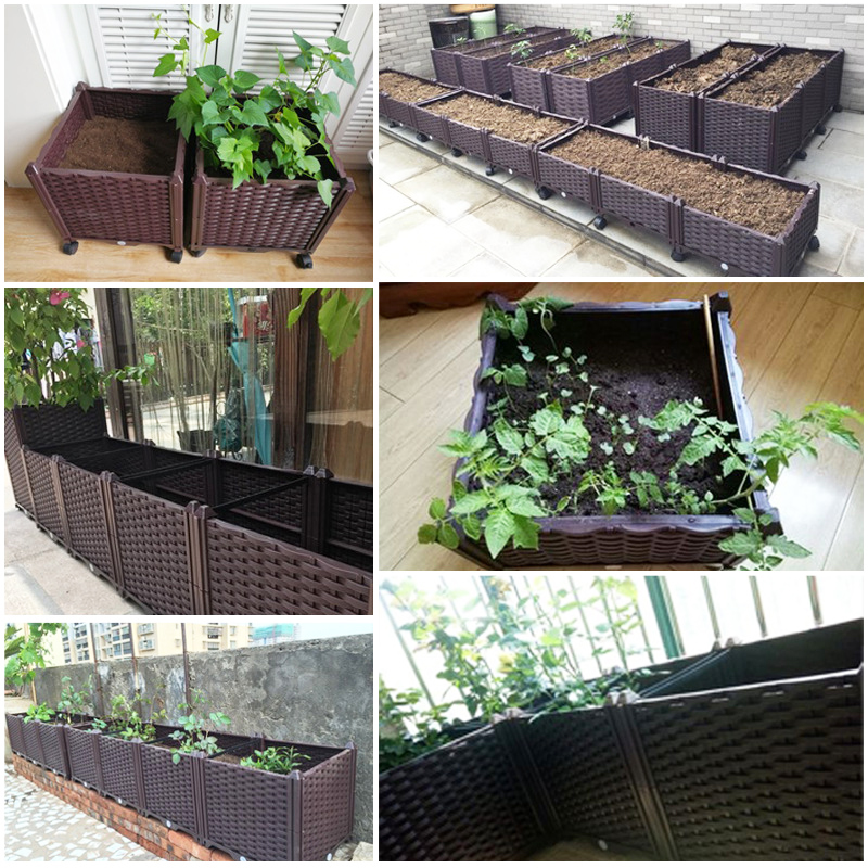 자동 급수 기능이 있는 높이 조절형 화분, 배수 구멍이 - Indoor Herb Garden 리뷰 및 가격